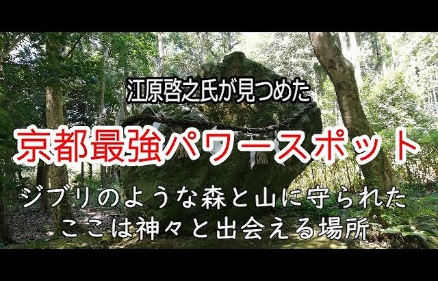 【パワースポット】強すぎてむしろ危険！各界有名人も認める！京都が誇る最強パワースポット：出雲大神宮/京都/パワースポット/PCX/スピリチュアル/開運/縁結び/恋愛/長寿