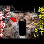 ⚠️閲覧注意！この動画が目に止まったら必ず奇跡が起こります※京都最強パワースポット⛩金運アップ天地龍神の恩恵【バーチャル参拝】日向大神宮