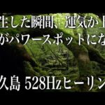 【神が住む 屋久島】再生するだけで家がパワースポットになり、邪気が払われ、驚くほど運氣が上がり、お金も心も人間関係でも満たされる人が一人でも増えるよう、祈りを込めて作りました